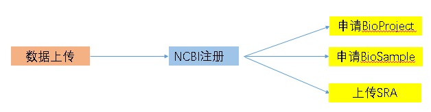 高通量测序原始数据上传教程