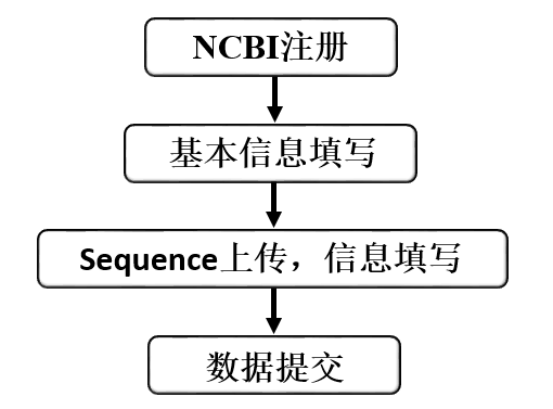 【干货】小基因组数据NCBI上传流程